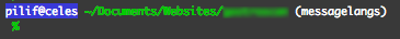 Screenshot of the terminal showing the current git branch