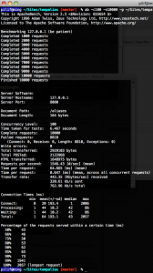 Screenshot of ab running in a terminal